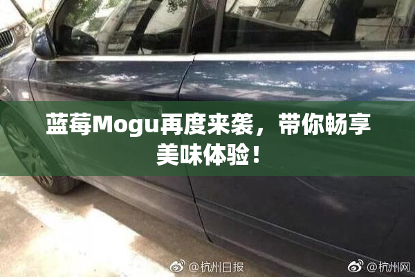 蓝莓Mogu再度来袭，带你畅享美味体验！