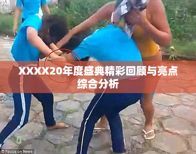 XXXX20年度盛典精彩回顾与亮点综合分析