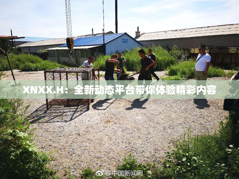 XNXX.H：全新动态平台带你体验精彩内容