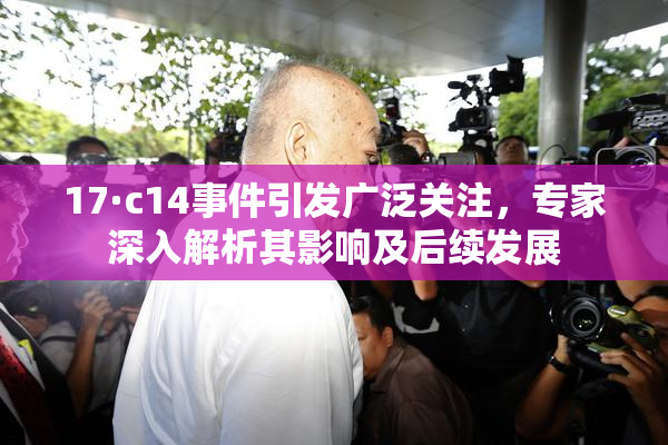 17·c14事件引发广泛关注，专家深入解析其影响及后续发展
