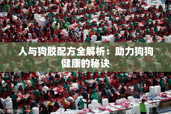 人与狗胶配方全解析：助力狗狗健康的秘诀