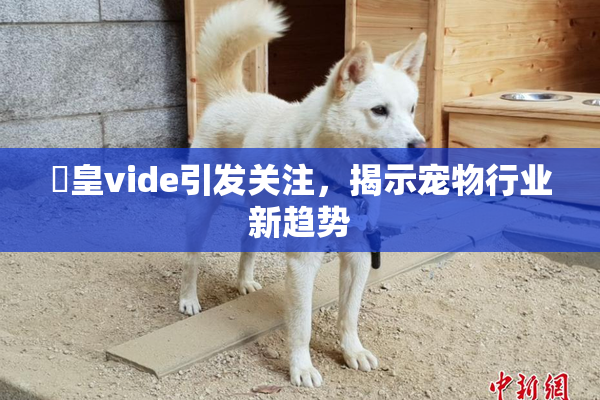 嘼皇vide引发关注，揭示宠物行业新趋势