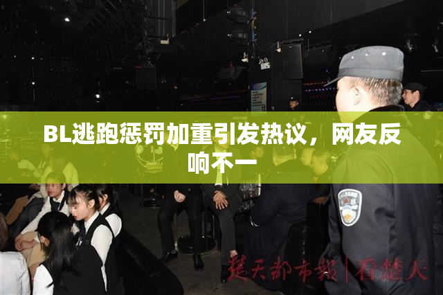 BL逃跑惩罚加重引发热议，网友反响不一