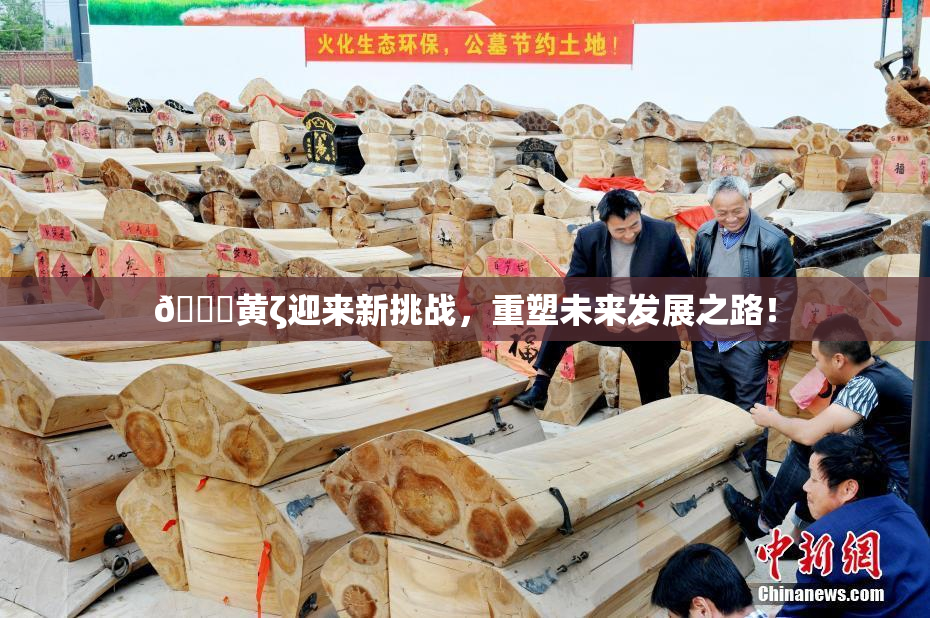 🔞黄ζ迎来新挑战，重塑未来发展之路！