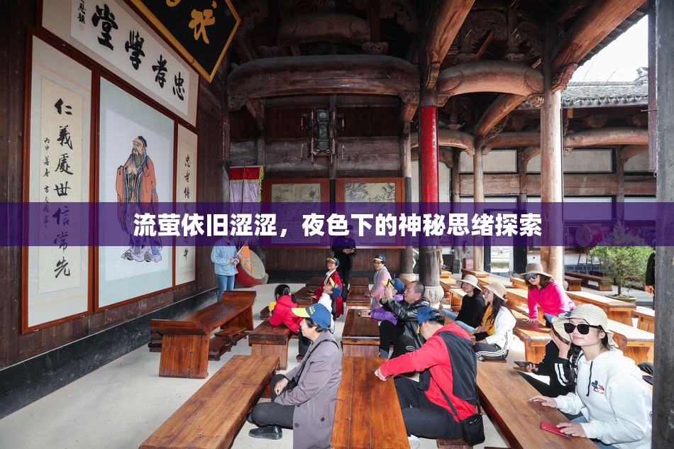 流萤依旧涩涩，夜色下的神秘思绪探索