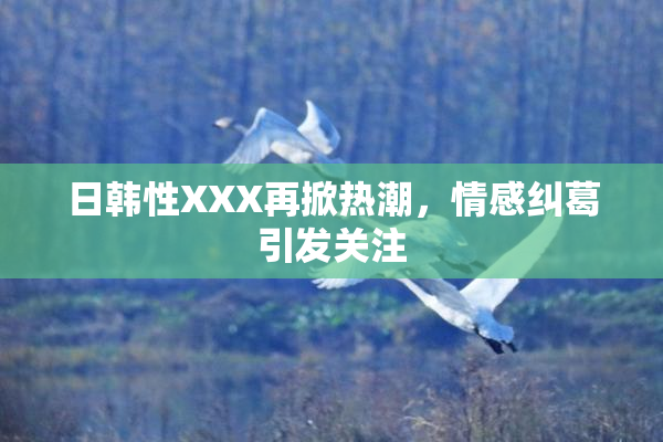 日韩性XXX再掀热潮，情感纠葛引发关注
