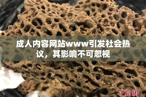 成人内容网站www引发社会热议，其影响不可忽视