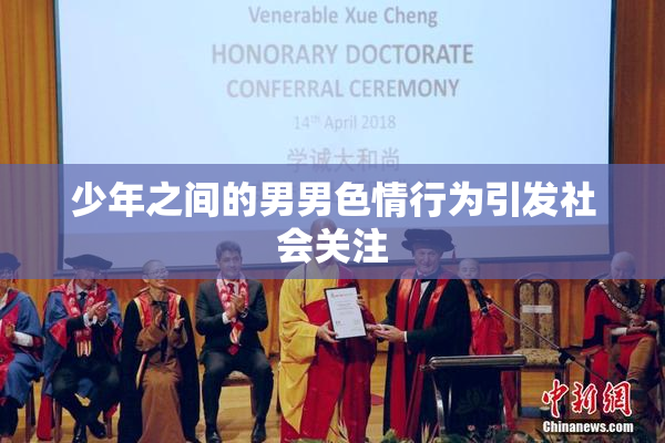 少年之间的男男色情行为引发社会关注