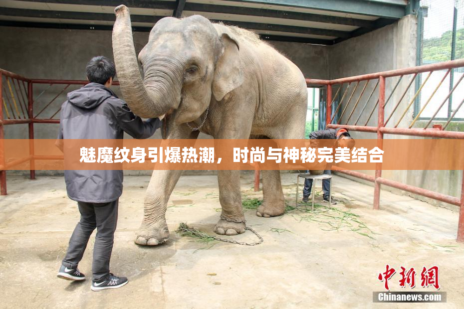 魅魔纹身引爆热潮，时尚与神秘完美结合