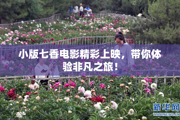 小版七香电影精彩上映，带你体验非凡之旅！