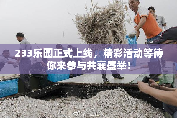 233乐园正式上线，精彩活动等待你来参与共襄盛举！
