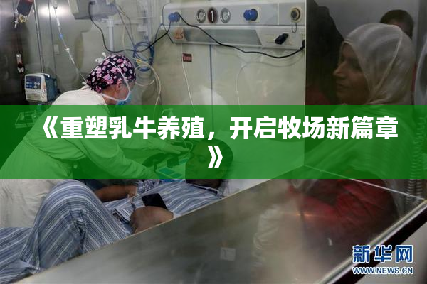 《重塑乳牛养殖，开启牧场新篇章》