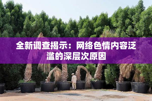 全新调查揭示：网络色情内容泛滥的深层次原因