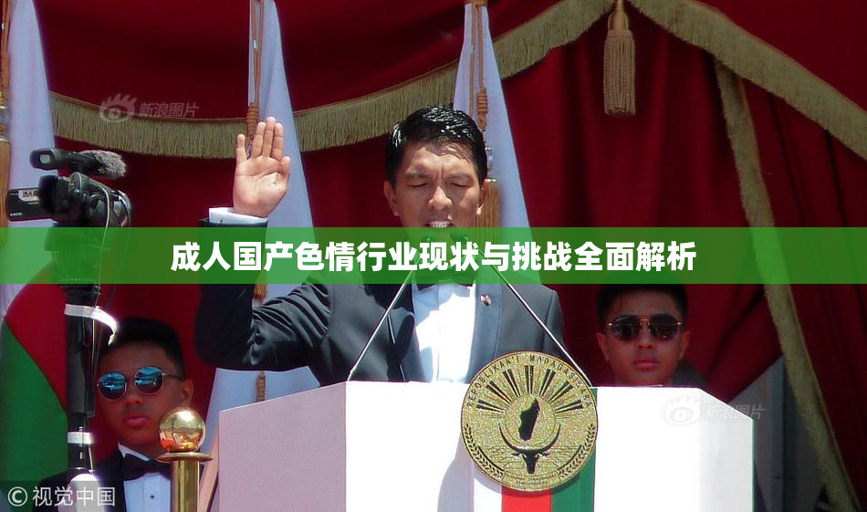 成人国产色情行业现状与挑战全面解析