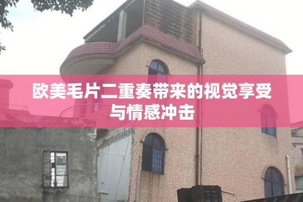 欧美毛片二重奏带来的视觉享受与情感冲击