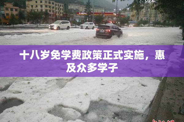 十八岁免学费政策正式实施，惠及众多学子