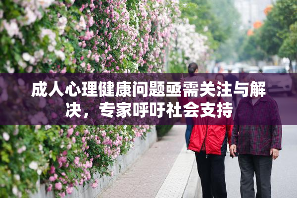 成人心理健康问题亟需关注与解决，专家呼吁社会支持