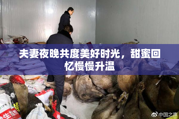 夫妻夜晚共度美好时光，甜蜜回忆慢慢升温
