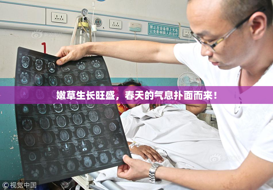 嫩草生长旺盛，春天的气息扑面而来！