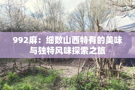 992麻：细数山西特有的美味与独特风味探索之旅