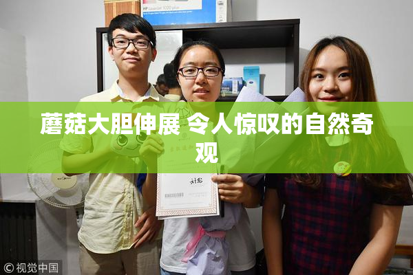 蘑菇大胆伸展 令人惊叹的自然奇观