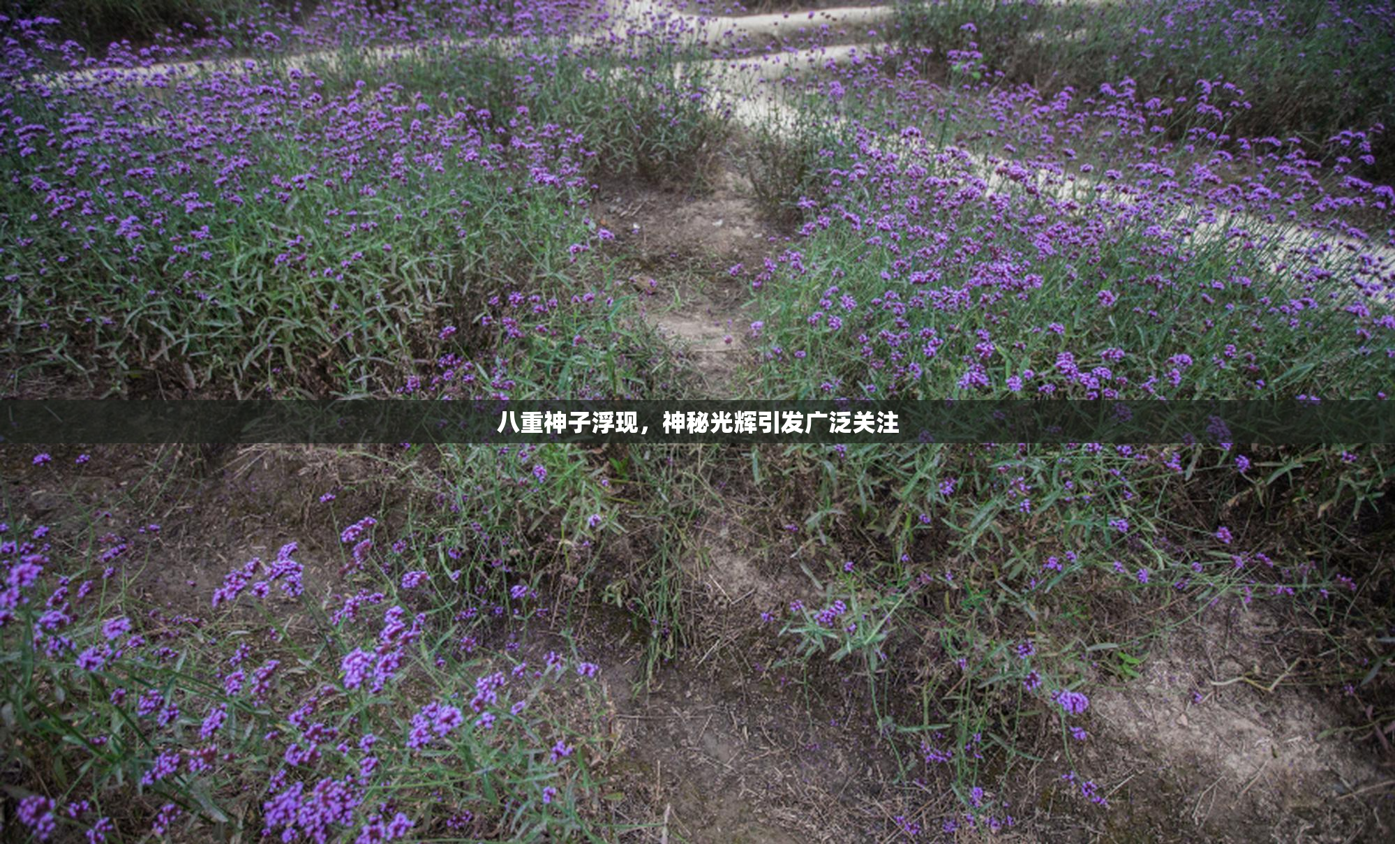 八重神子浮现，神秘光辉引发广泛关注