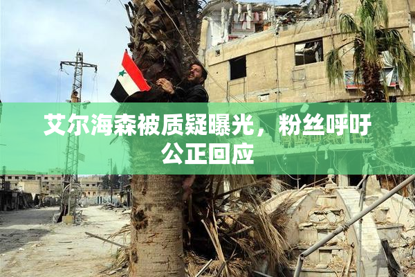 艾尔海森被质疑曝光，粉丝呼吁公正回应