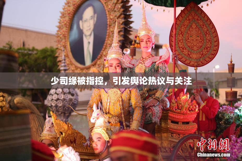 少司缘被指控，引发舆论热议与关注