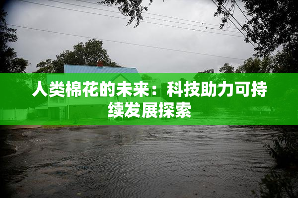 人类棉花的未来：科技助力可持续发展探索
