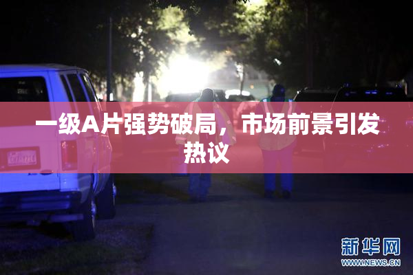 一级A片强势破局，市场前景引发热议