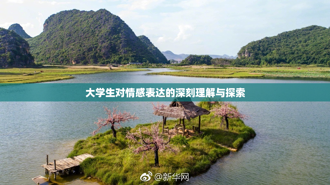 大学生对情感表达的深刻理解与探索
