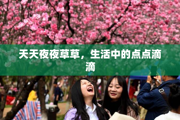 天天夜夜草草，生活中的点点滴滴