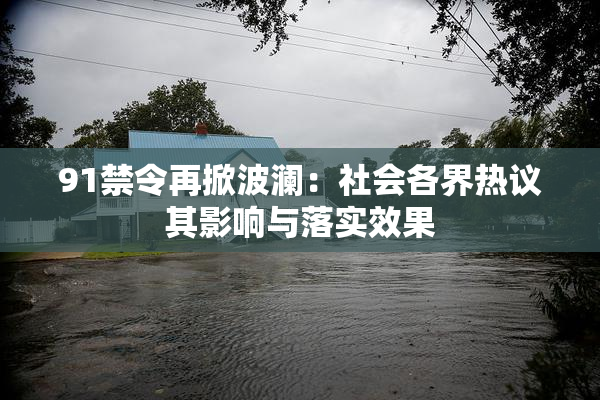 91禁令再掀波澜：社会各界热议其影响与落实效果