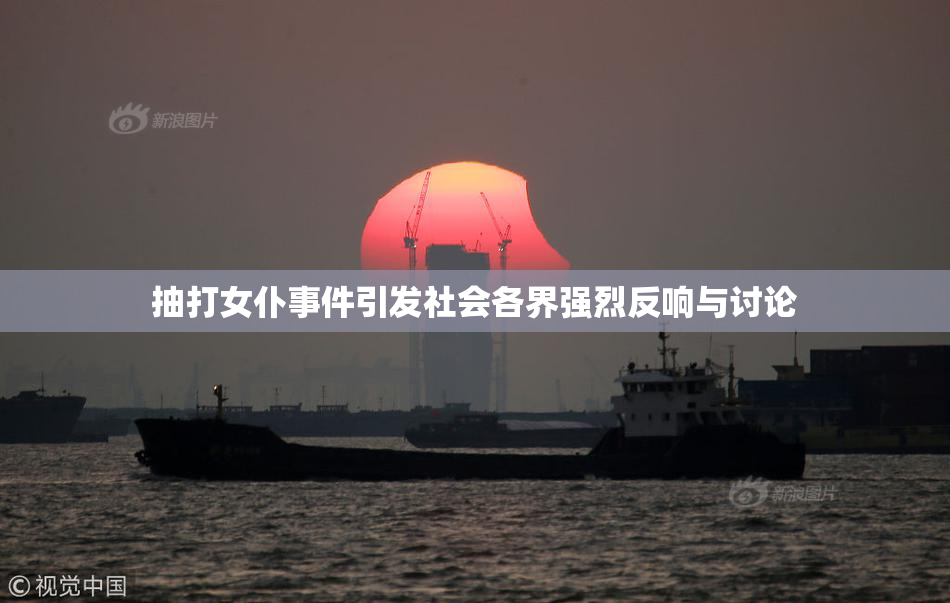 抽打女仆事件引发社会各界强烈反响与讨论