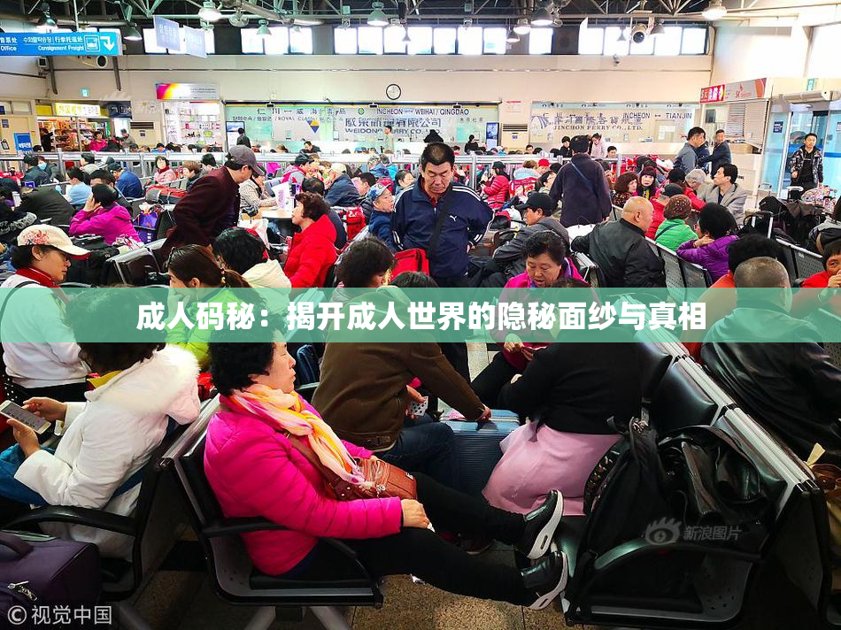 成人码秘：揭开成人世界的隐秘面纱与真相
