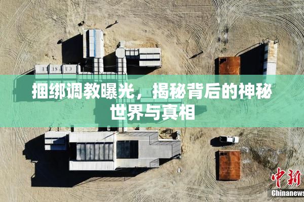 捆绑调教曝光，揭秘背后的神秘世界与真相