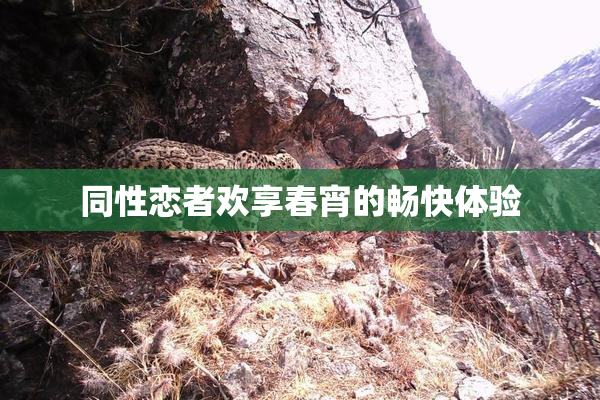同性恋者欢享春宵的畅快体验
