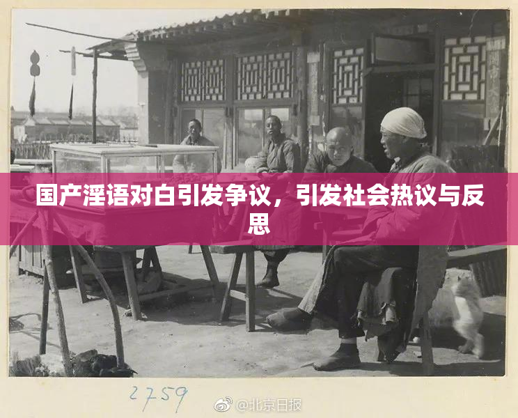 国产淫语对白引发争议，引发社会热议与反思
