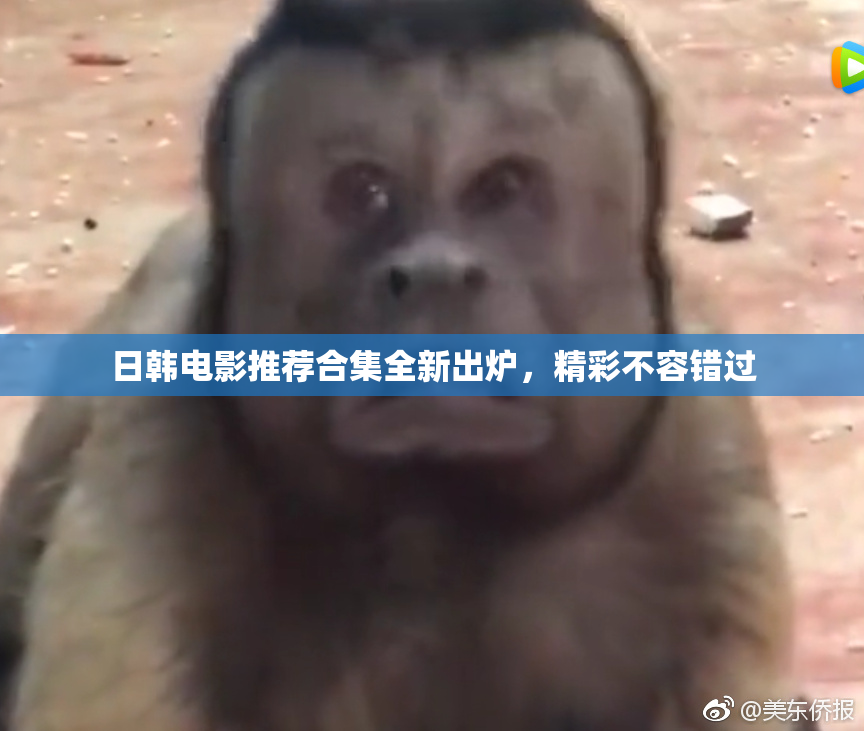 日韩电影推荐合集全新出炉，精彩不容错过