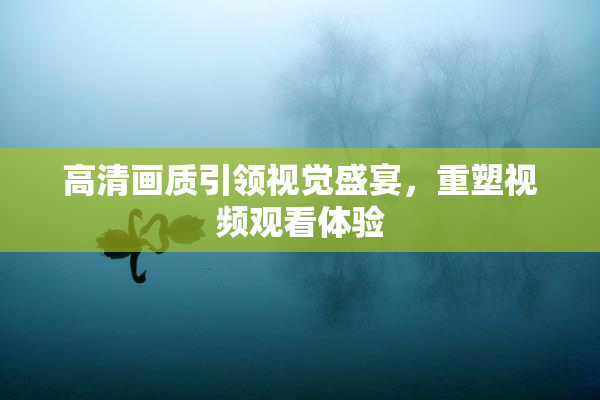 高清画质引领视觉盛宴，重塑视频观看体验