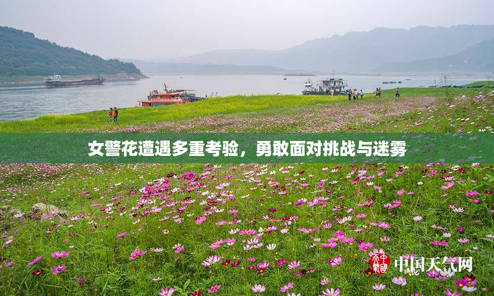 女警花遭遇多重考验，勇敢面对挑战与迷雾