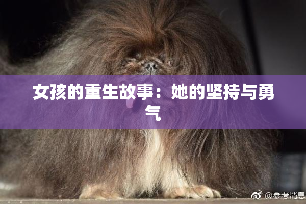 女孩的重生故事：她的坚持与勇气