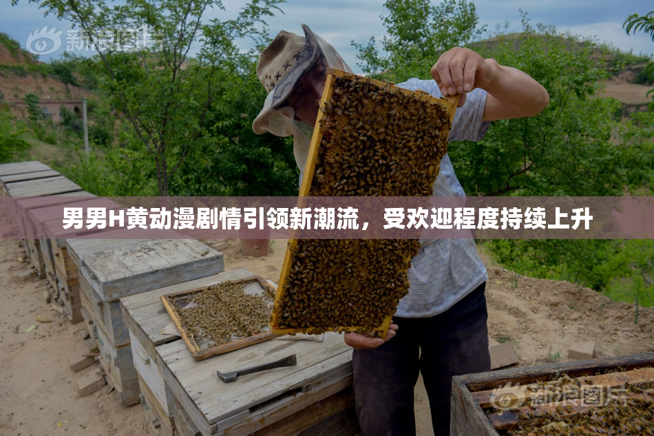 男男H黄动漫剧情引领新潮流，受欢迎程度持续上升