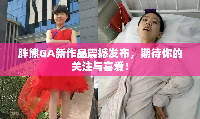 胖熊GA新作品震撼发布，期待你的关注与喜爱！