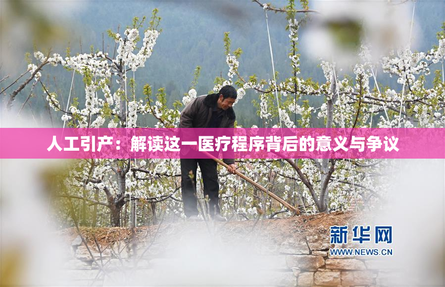人工引产：解读这一医疗程序背后的意义与争议