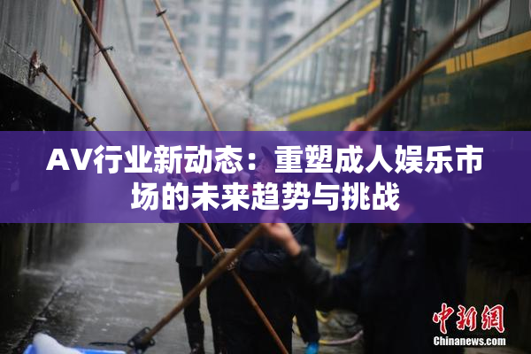AV行业新动态：重塑成人娱乐市场的未来趋势与挑战