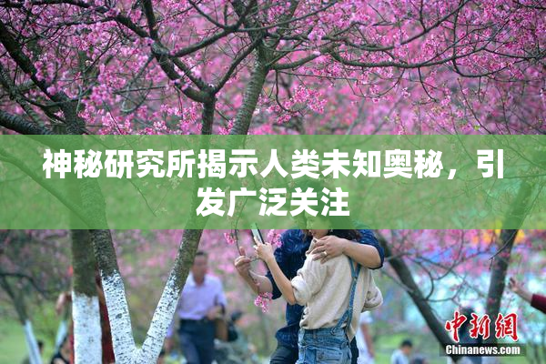 神秘研究所揭示人类未知奥秘，引发广泛关注
