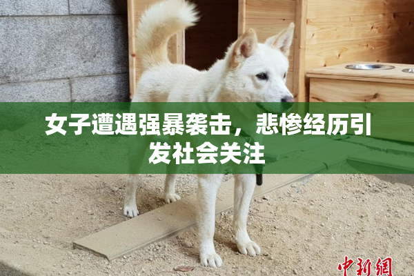 女子遭遇强暴袭击，悲惨经历引发社会关注