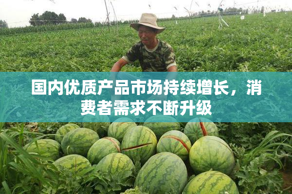 国内优质产品市场持续增长，消费者需求不断升级