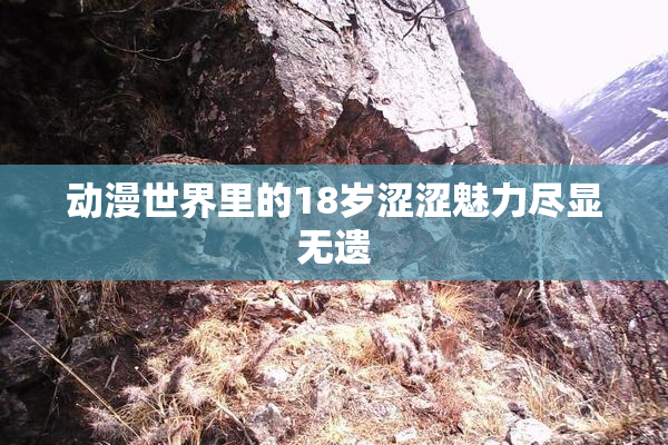 动漫世界里的18岁涩涩魅力尽显无遗